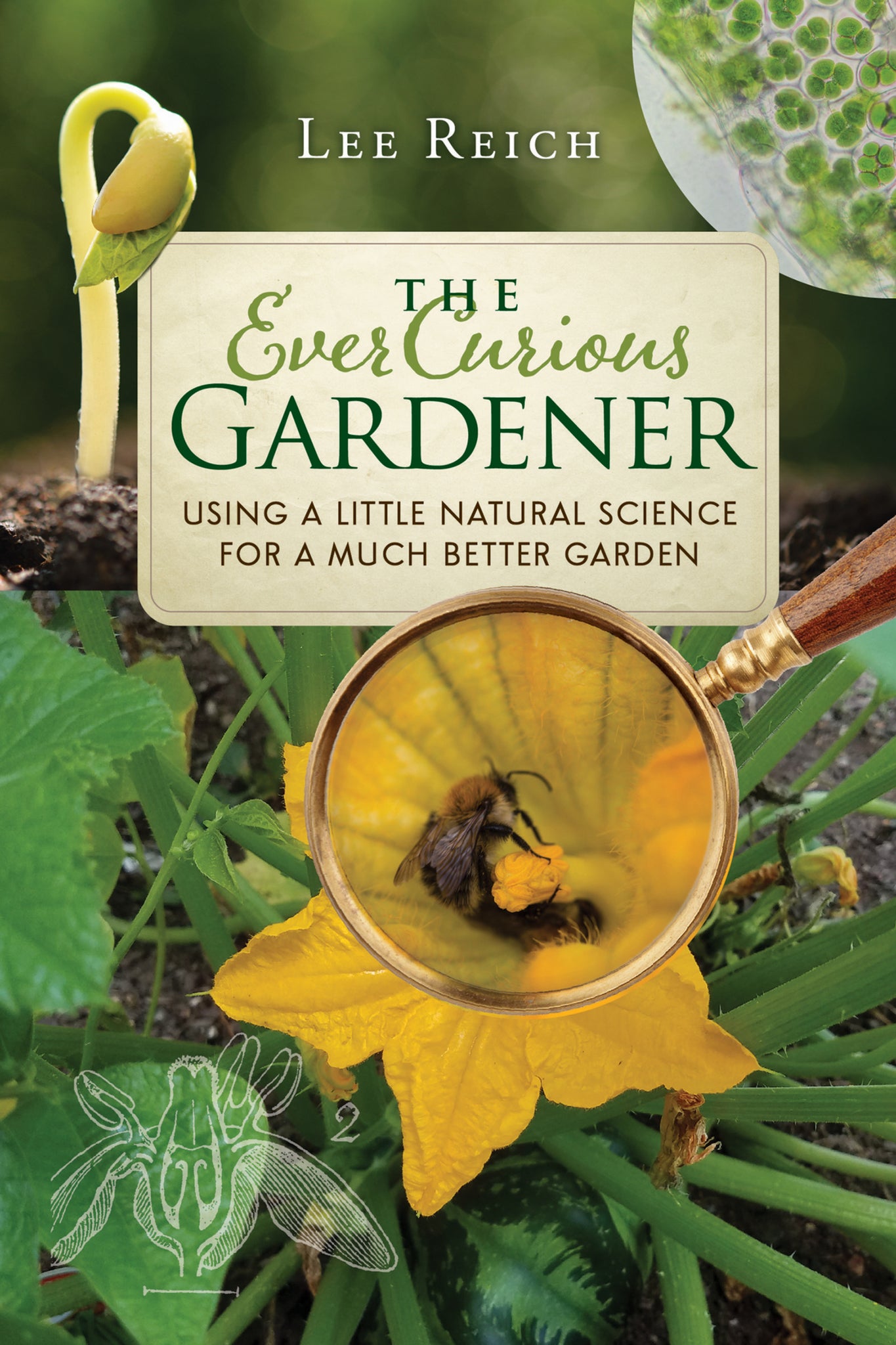 Cover image for The Ever Curious Gardener ISBN 9780865718821